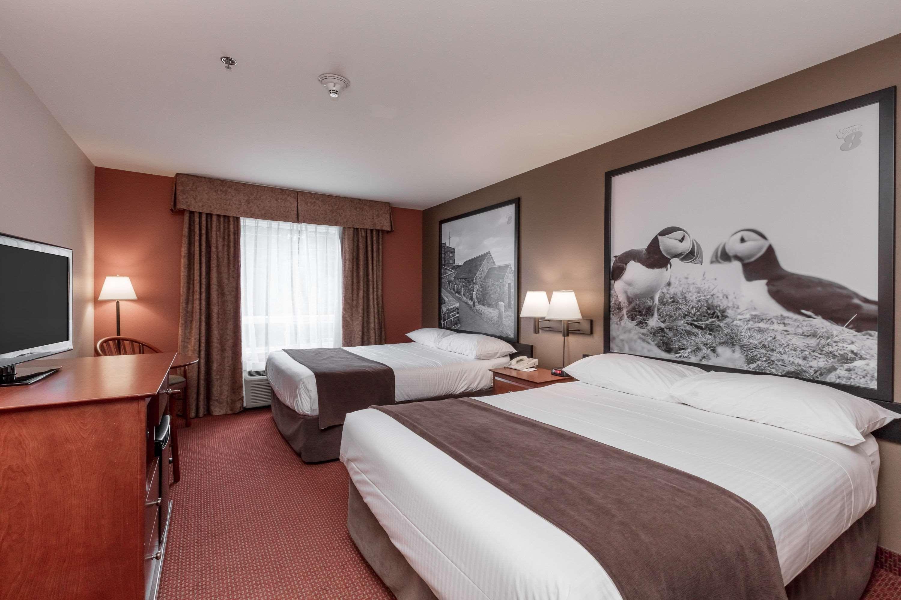 Super 8 By Wyndham St Johns Otel St. John's Dış mekan fotoğraf